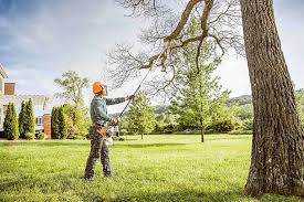 Best Tree Health Inspection  in Oroville East, CA